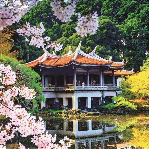 🌷SALE🌷1000pc puzzle: “Blossom in Japan” (Jumbo) - Picture 7 of 7